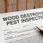 termite inspections