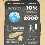 termite inspections