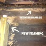 termite repair